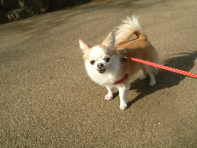 a0079803_23571779.jpg