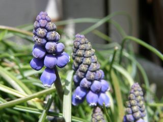 b0061107_0114935.jpg