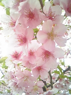 b0125808_17111166.jpg