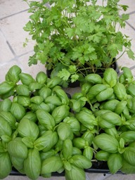 f0133814_0173045.jpg