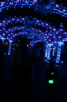 d0004617_20105679.jpg