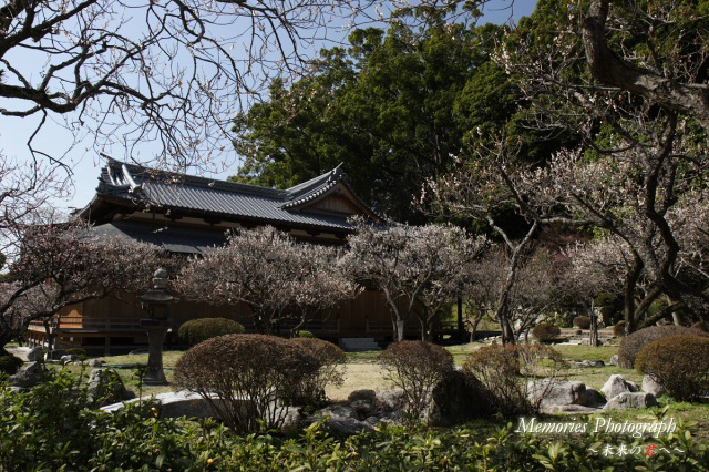 c0089419_2059657.jpg