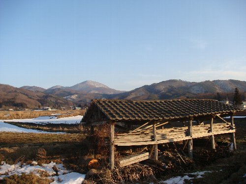 d0109319_654878.jpg
