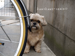 f0155120_2215139.gif