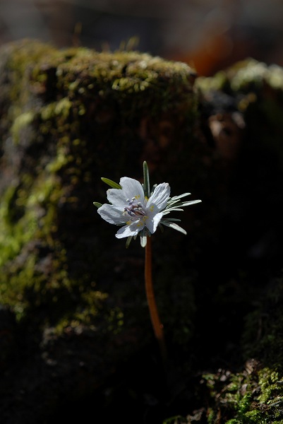 c0027027_2344137.jpg