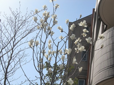 c0078428_15224511.jpg