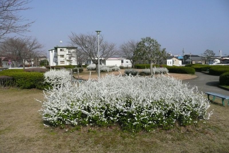 e0033229_17201556.jpg