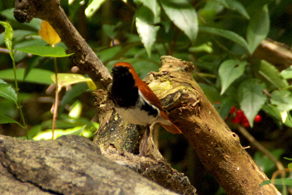 d0053930_6392890.jpg