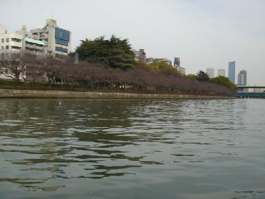 b0079436_10303497.jpg