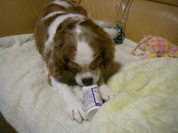 c0136838_18454790.gif