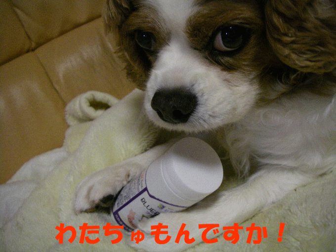 c0136838_18464390.gif
