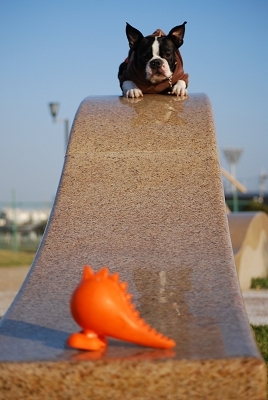e0126046_21543698.jpg