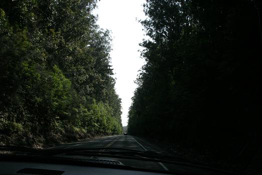 f0122046_1573912.jpg