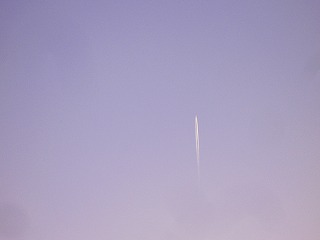 a0008549_2351184.jpg