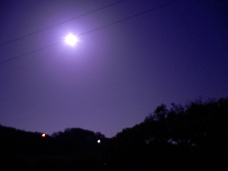 a0008549_23542325.jpg
