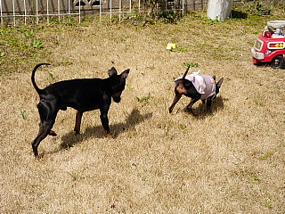 c0123149_14561432.jpg