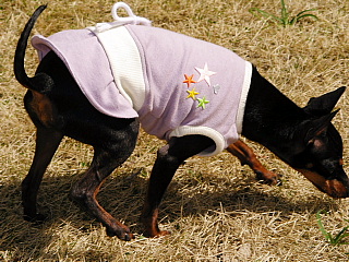 c0123149_14571586.jpg