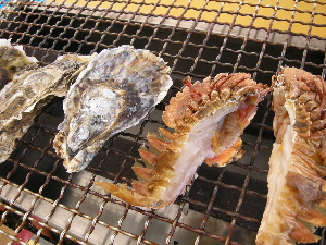 a0003150_7251255.jpg