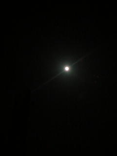 e0028656_1344244.jpg