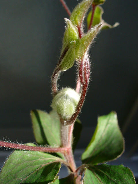 f0074659_23191362.jpg