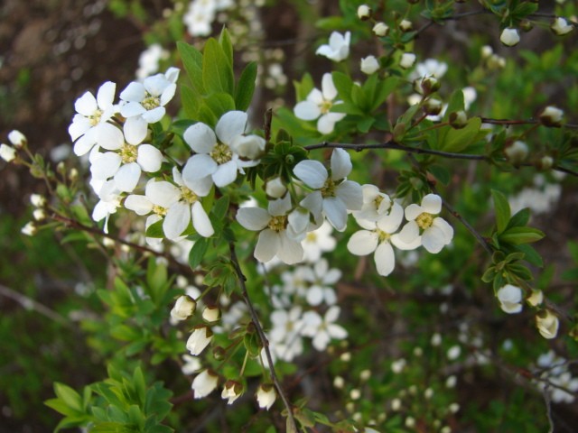 b0061261_2215089.jpg