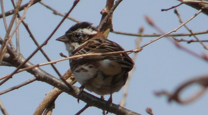 b0058563_2245154.jpg
