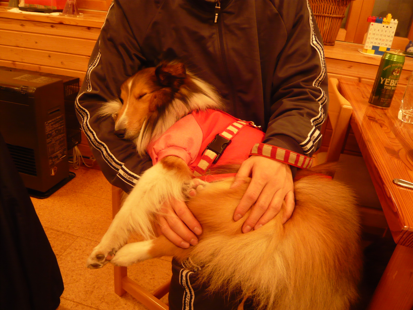 d0146967_0572983.jpg