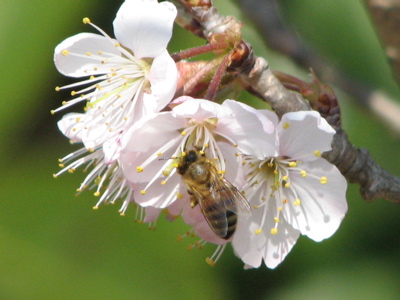 d0050472_16312397.jpg