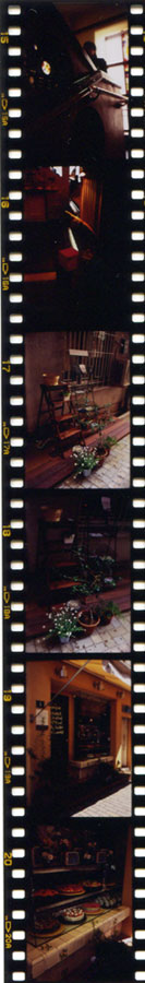 c0036283_2253530.jpg