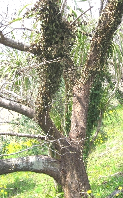 f0003283_16223147.jpg