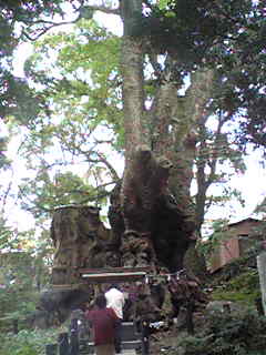 b0058686_231691.jpg