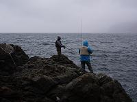 f0069890_255237.jpg