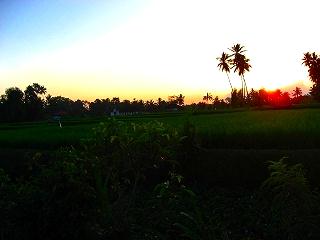 c0153292_20203685.jpg