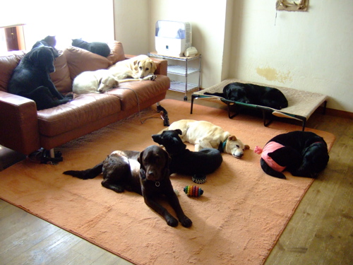 f0001698_22204052.jpg