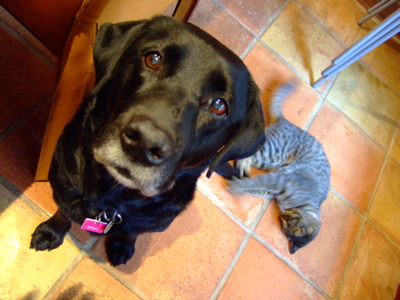 f0001698_2221614.jpg