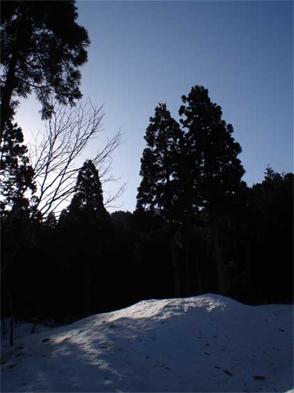 a0061599_81691.jpg