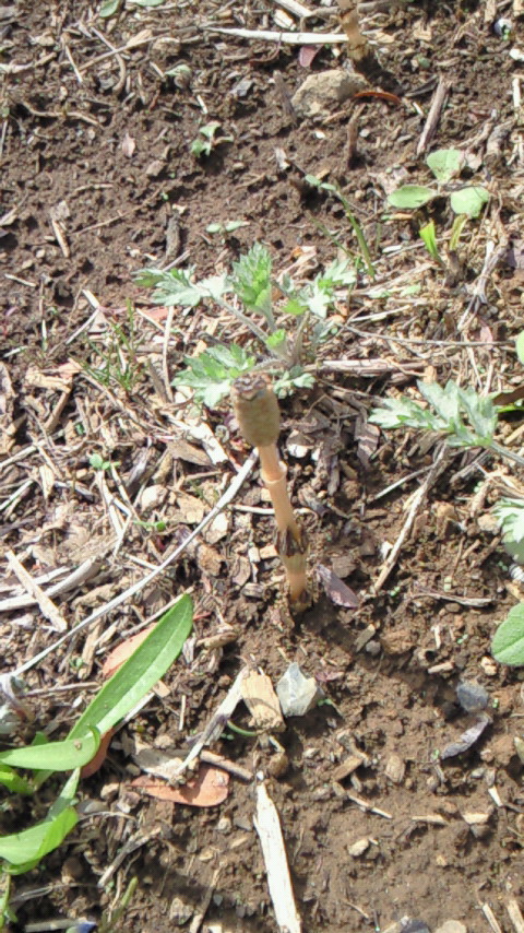 f0114900_1550346.jpg