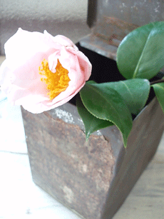 c0129702_2182498.gif