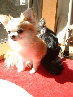 a0079803_014357.jpg