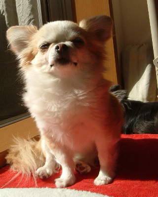 a0079803_0154919.jpg