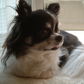 a0079803_0224574.jpg