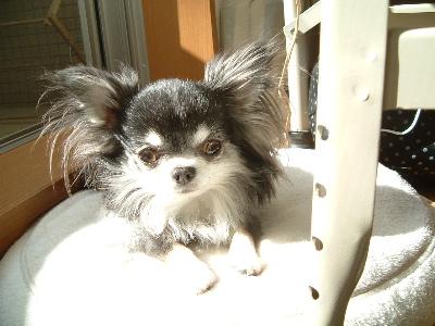 a0079803_09275.jpg