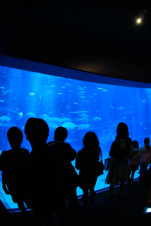 d0119505_6371766.jpg