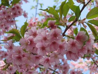 b0125808_21285877.jpg