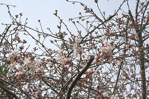 c0151731_23175510.jpg