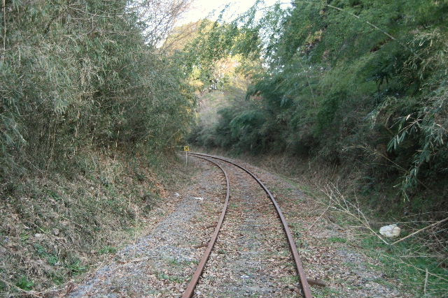 e0064133_1213250.jpg
