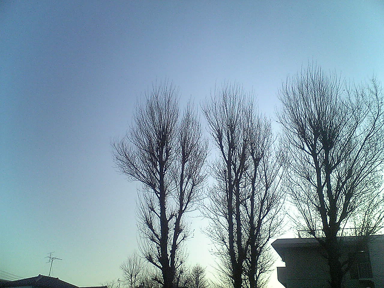 c0152037_15540100.jpg
