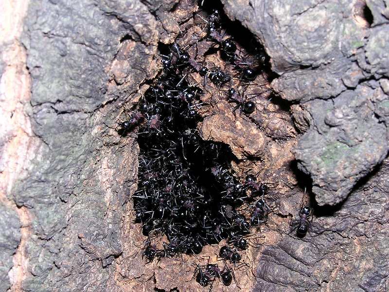 b0099538_16503723.jpg