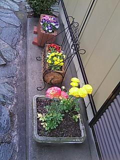 b0076739_23544917.jpg