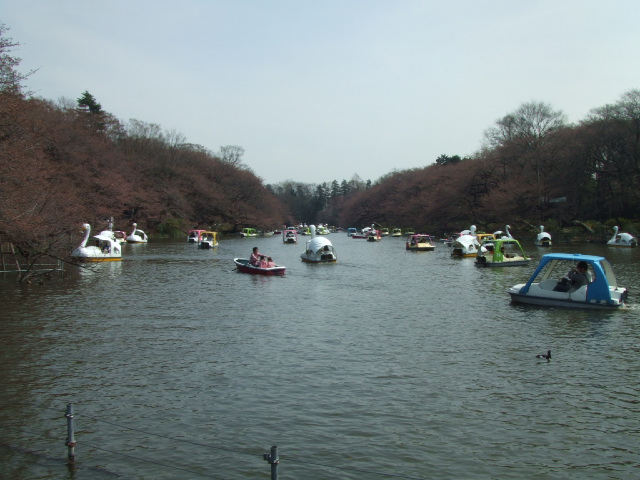 c0071545_18405641.jpg